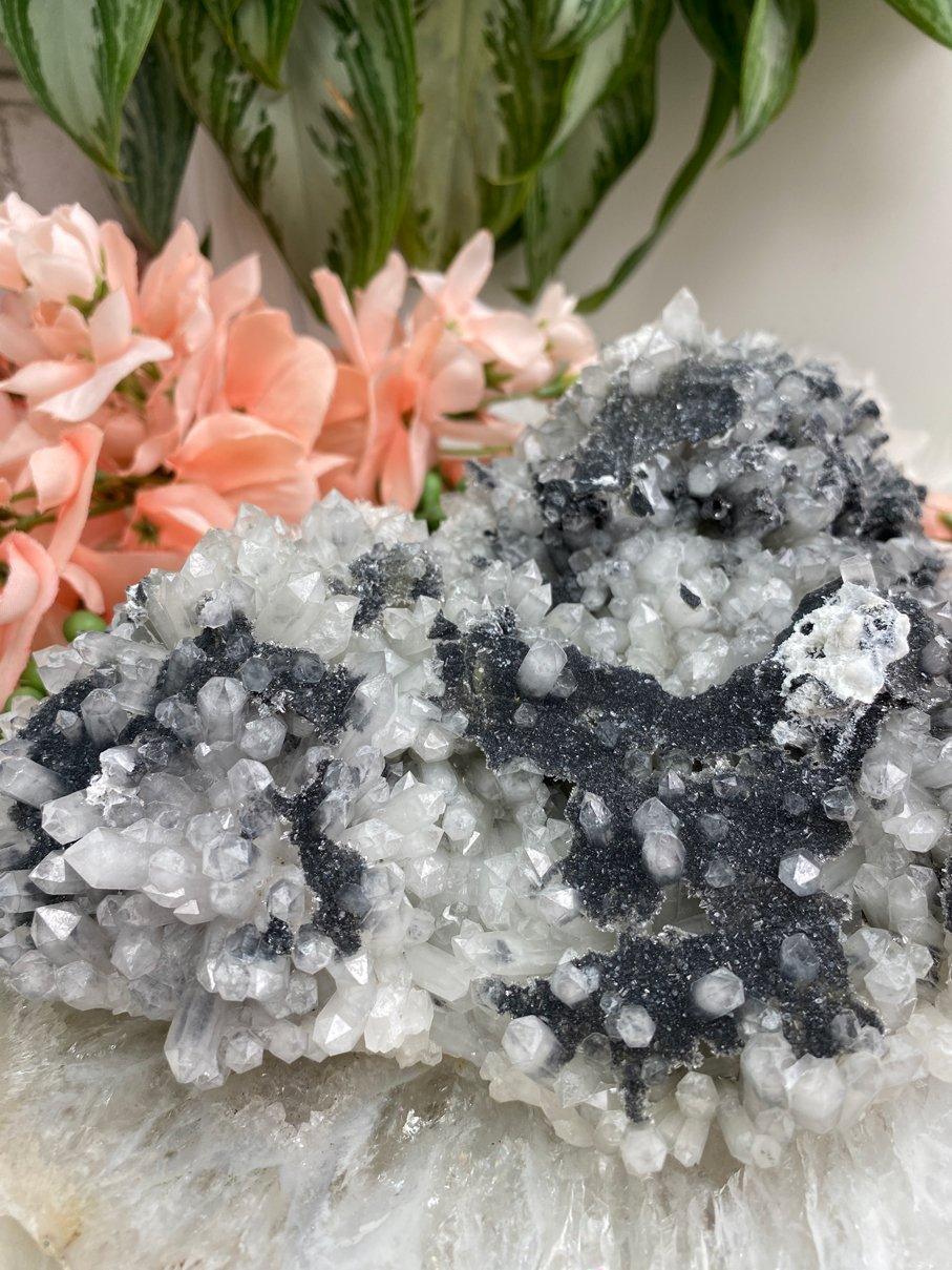 Black-HEmatite-on-Quartz-Cluster-Crystal-from-Dalnegorsk-Russia