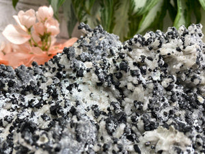 Contempo Crystals - Black-Ilvaite-on-Gray-Quartz-Crystal-Cluster-Russia - Image 3