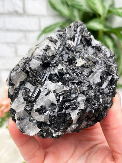 Black-Tourmaline-Quartz-Brazil