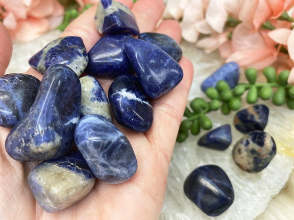 Tumbled Sodalite Blue White Sodalite Tumbles for Sale