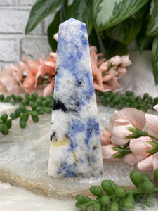 Contempo Crystals - Blue-White-Sodalite-Point - Image 7