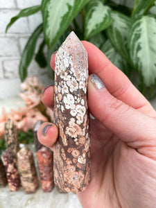 Contempo Crystals - Brown-Leopard-Jasper-Point - Image 6