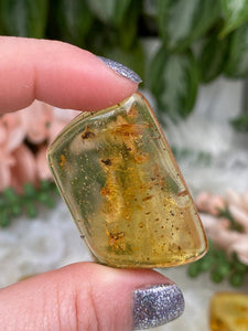Contempo Crystals - Bugs-in-Amber-Colombia - Image 8