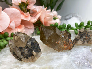 Contempo Crystals - Buy-Natural-Citrine-from-DR-Congo - Image 3