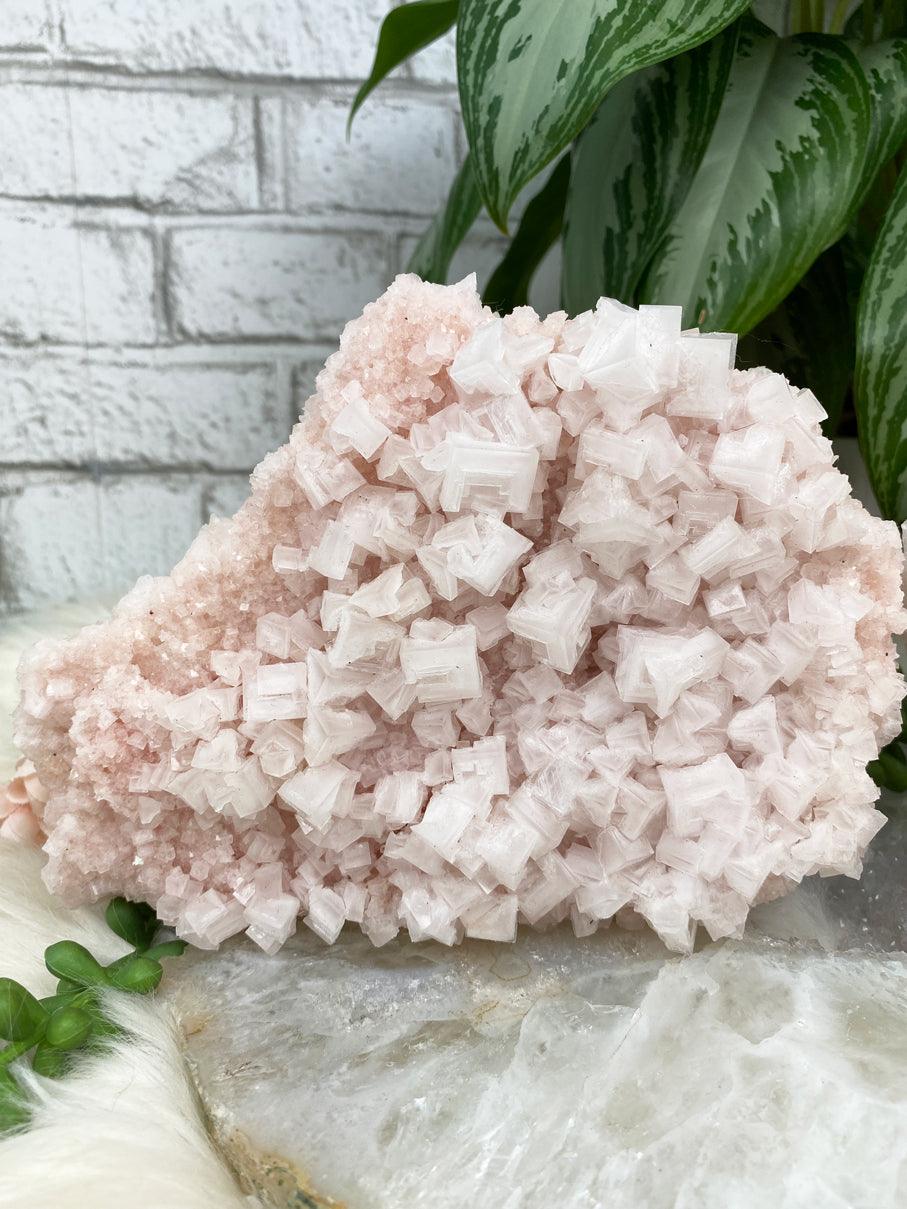 106g White Halite Salt Crystal from Searles Lake, Trona California - Natural Pink on sale Salt Crystal Specimen - Rare Halite Salt Minerals - Unique