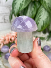 Load image into Gallery: Contempo Crystals - Pastel Fluorite Crystal Mushrooms - Image 16