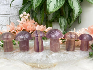 Contempo Crystals - Chinese-Purple-Fluorite-Mushrooms - Image 5