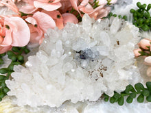 Load image into Gallery: Contempo Crystals - Chinese-Quartz-Cluster-Crystal - Image 3