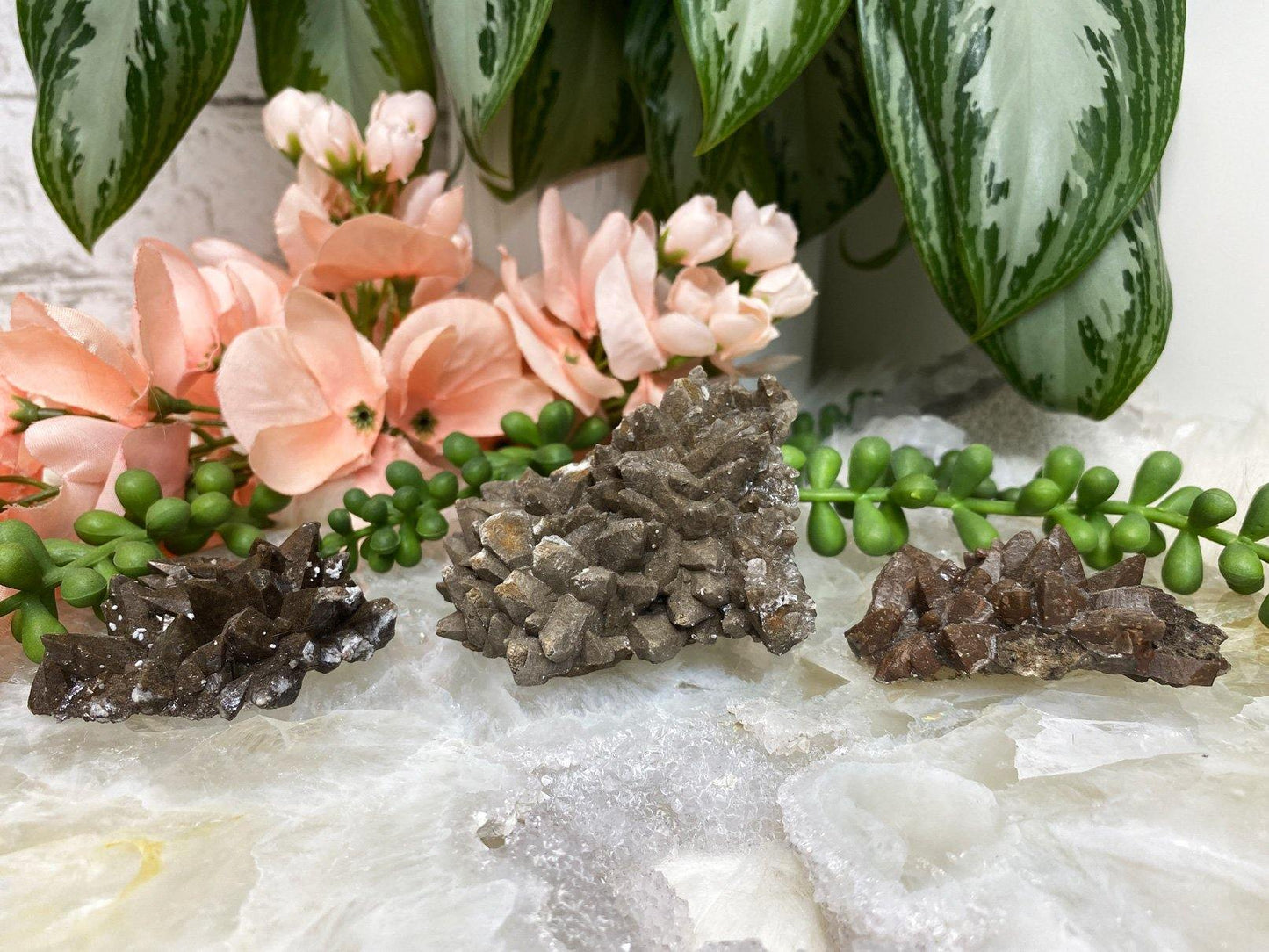 Chocolate-Brown-Dogtooth-Calcite-Crystal-Clusters