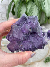 Load image into Gallery: Contempo Crystals - Chunky-Purple-Fluorite-Cluster - Image 9