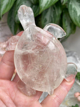 Load image into Gallery: Contempo Crystals - Clear-Quartz-Sea-Turtle-Crystal-from-Brazil - Image 10