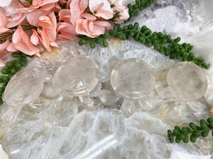 Contempo Crystals - Clear-Quartz-Sea-Turtle-Crystals-from-BRazil - Image 3