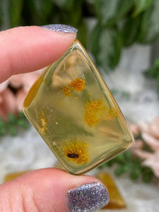 Contempo Crystals - Colombia-Amber-with-Bug - Image 9