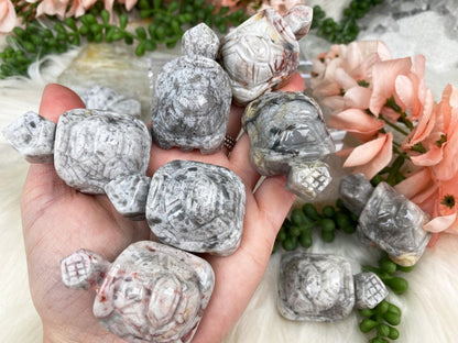 Crazy-Lace-Agate-Turtles