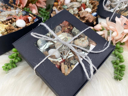 Dinosaur Crystal & Ammonite Gift Set
