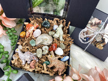 Load image into Gallery: Contempo Crystals - Dinosaur Crystal & Ammonite Gift Set - Image 1