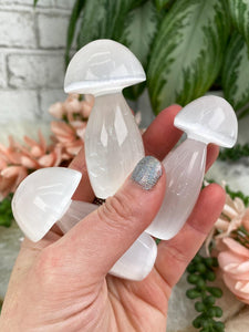 Contempo Crystals - Crystal-Mushrooms - Image 3
