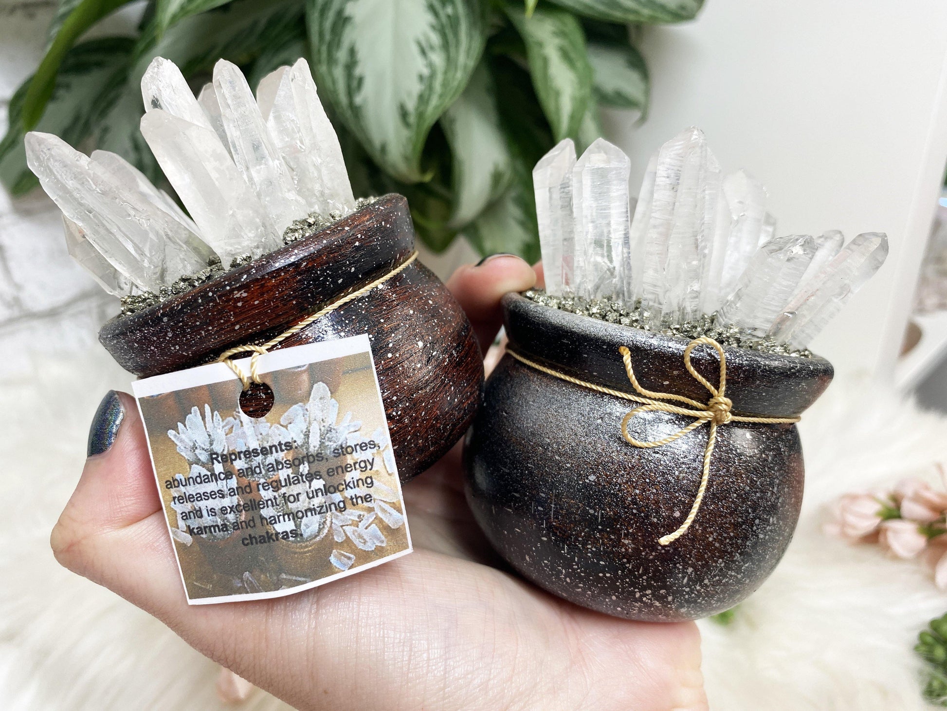 Crystal abundance pots with quartz pyrite gifts