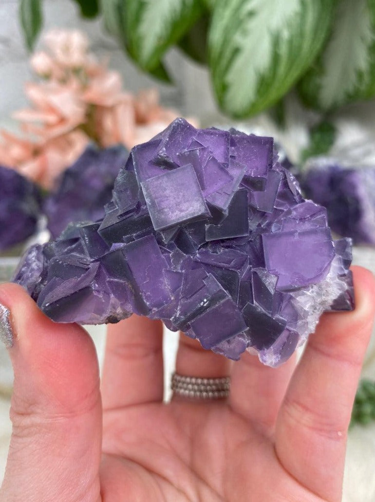Cubic Purple Fluorite Clusters
