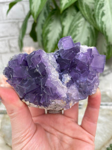 Contempo Crystals - Cubic Purple Fluorite Clusters - Image 10