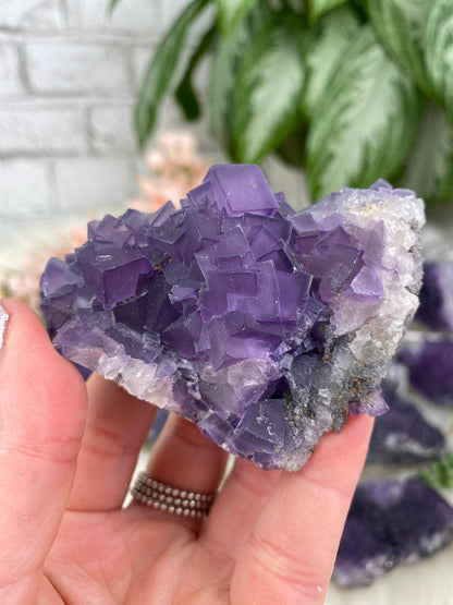 Cubic-Purple-Fluorite