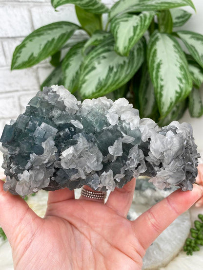 Dark-Green-Fluorite-Bladed-Calcite