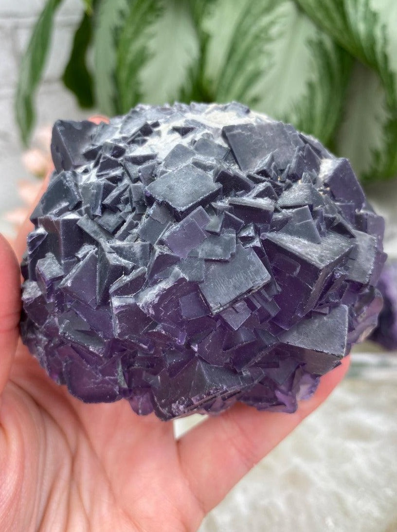 Dark-Purple-Cubic-Fluorite-Cluster