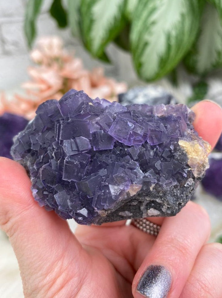 Dark-Purple-Fluorite-Cluster