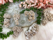 Load image into Gallery: Contempo Crystals - Desert-Rose-Gypsum-Rose - Image 5