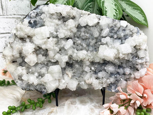 Contempo Crystals - Extra-Large-Gray-Chalcedony-Apophyllite - Image 1