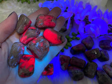 Load image into Gallery: Contempo Crystals - Glowing-UV-Tumbled-Ruby-Feldspar-for-Sale - Image 3