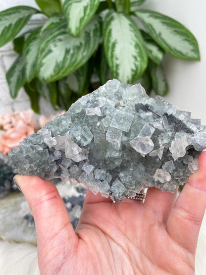 Gray-Bladed-Calcite-on-Green-Fluorite