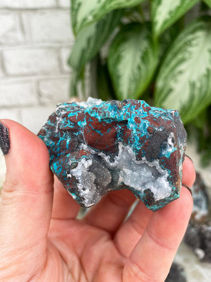 Gray-Blue-Druzy-Chrysocolla-Crystals-with-Hematite