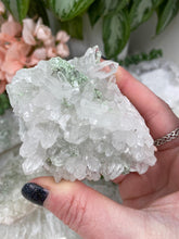 Load image into Gallery: Contempo Crystals - Green-Fuchsite-Mica-Quartz-Cluster - Image 7