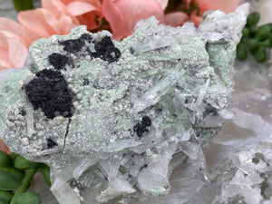 Contempo Crystals - Green-Fuchsite-Quartz-Crystal-Cluster - Image 6