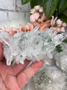 Contempo Crystals - Green-Fuchsite-in-Quartz-Cluster - Image 7