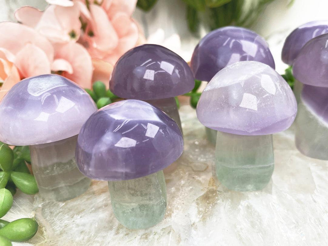 Contempo Crystals - Green-Purple-Pastel-Fluorite-Mushrooms - Image 1