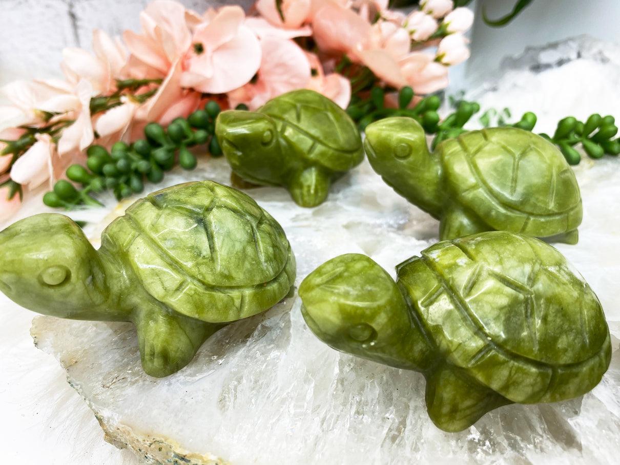 Green Serpentine Turtles - Hand Carved in Peru – Contempo Crystals