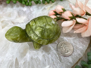Contempo Crystals - Green-Serpentine-Turtle - Image 7