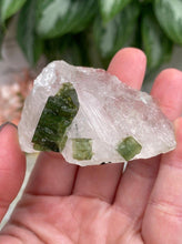 Load image into Gallery: Contempo Crystals - Green-Tourmaline-in-Quartz-from-Brazil - Image 9