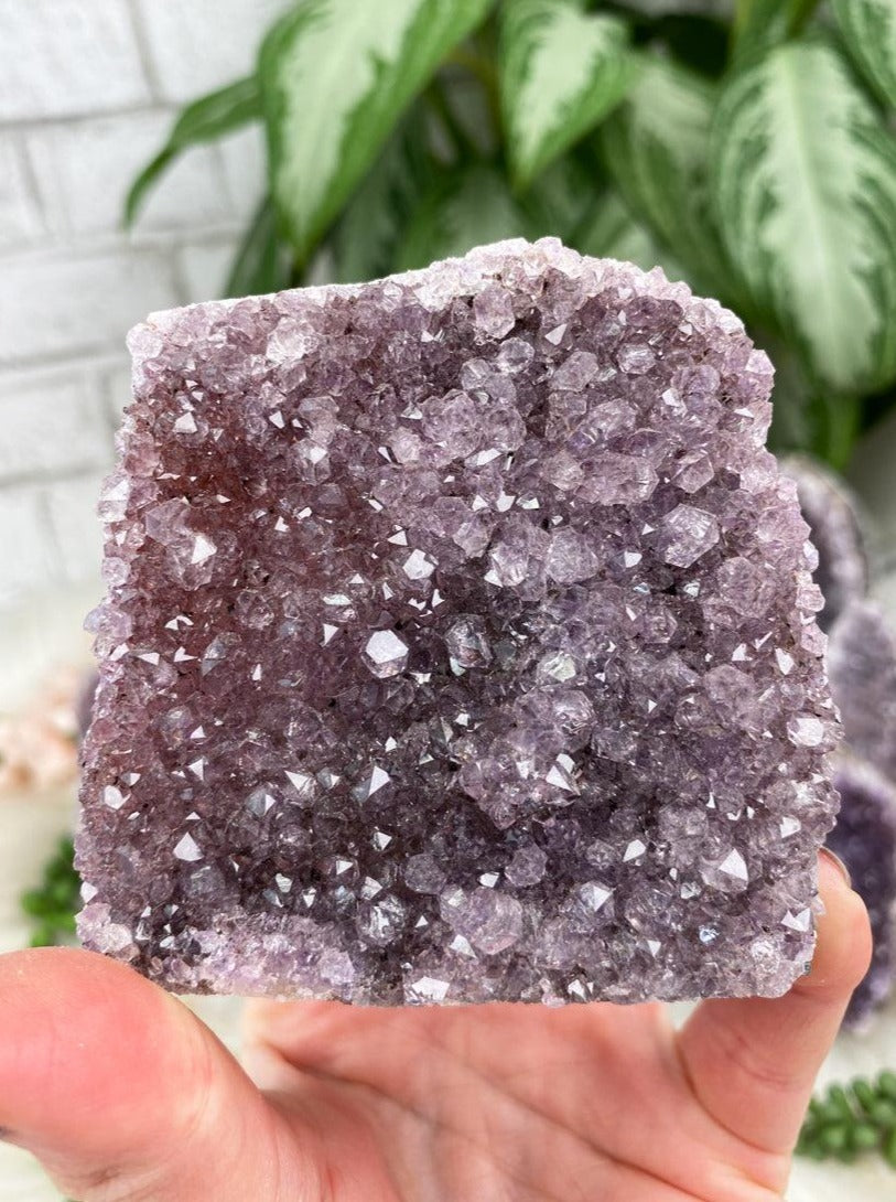 Small Red Amethyst Clusters