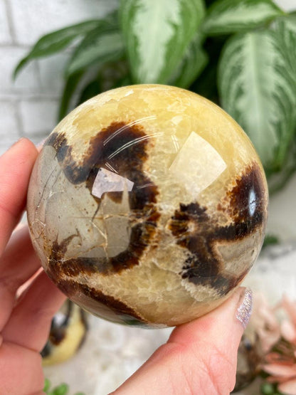 madagascar-yellow-septarian-spheres