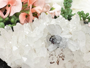 Contempo Crystals - quartz-cluster - Image 6
