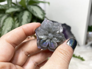 Contempo Crystals - These colorful labradorite flowers are fun and flashy!  - Image 3