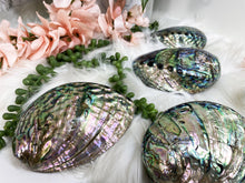 Load image into Gallery: Contempo Crystals - Beautiful polished Abalone Shells - Image 4