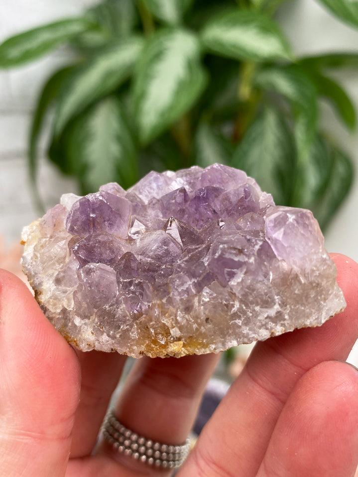 small-indian-amethyst-cluster
