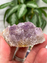 Load image into Gallery: Contempo Crystals - small-indian-amethyst-cluster - Image 18
