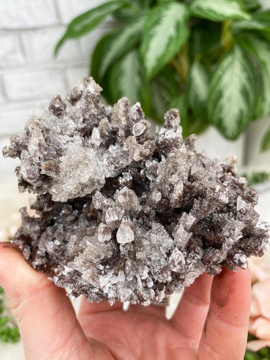 Black Calcite Crystals