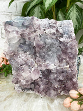 Load image into Gallery: Contempo Crystals - chunky-amethyst-with-white-calcite - Image 12