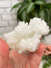 Load image into Gallery: Contempo Crystals - White Aragonite Crystals - Image 31